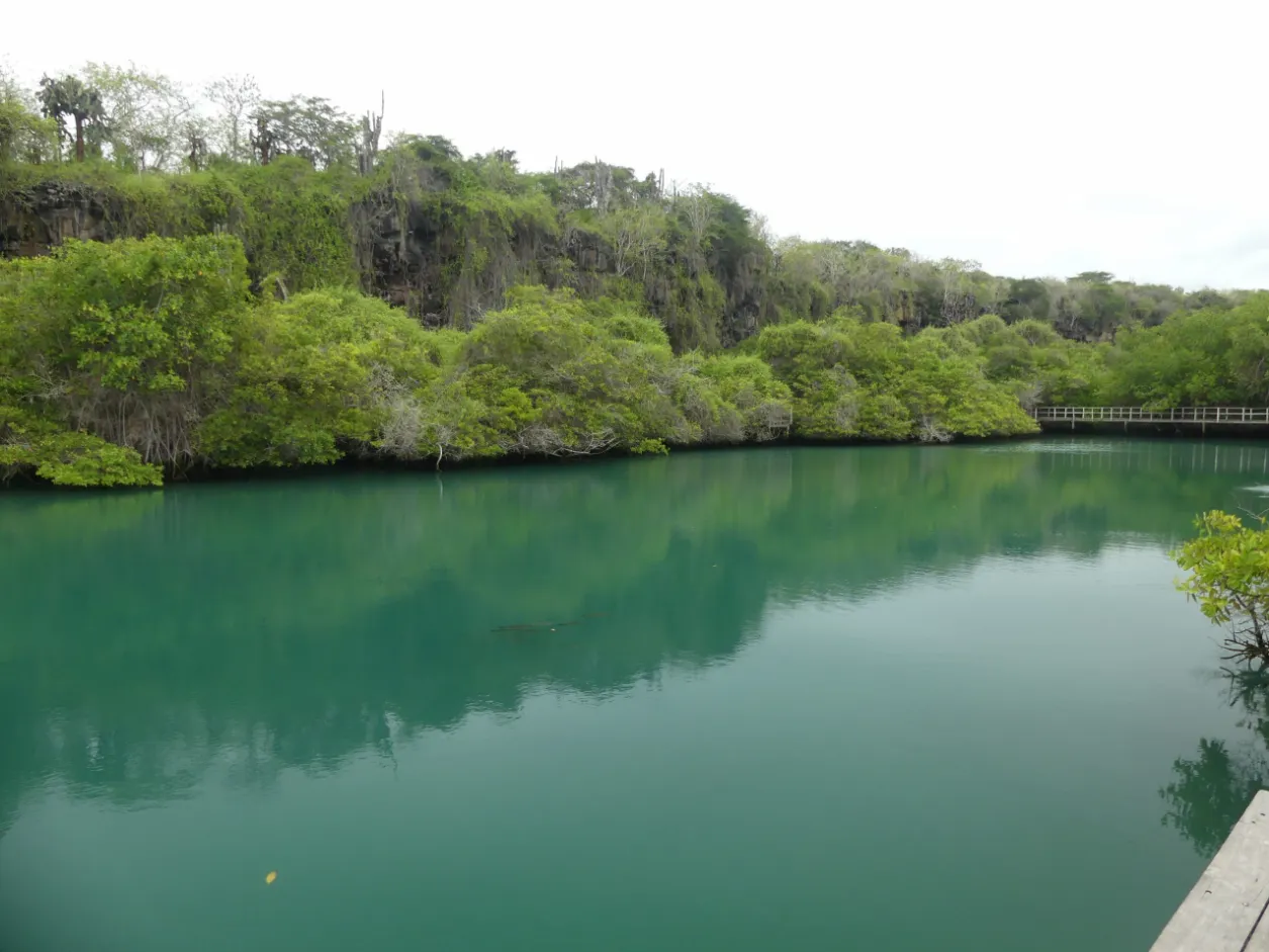 Las Ninfas