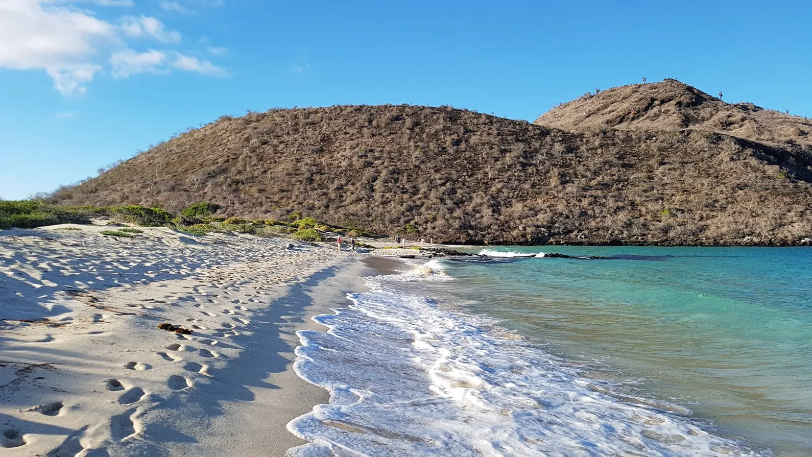 Punta Cormoran
