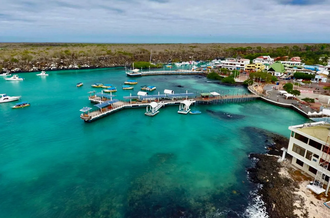 Santa Cruz